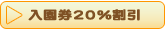 ������20%����