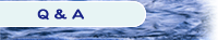 Q&A